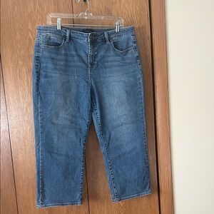Talbots Classic Blue Denim Pants